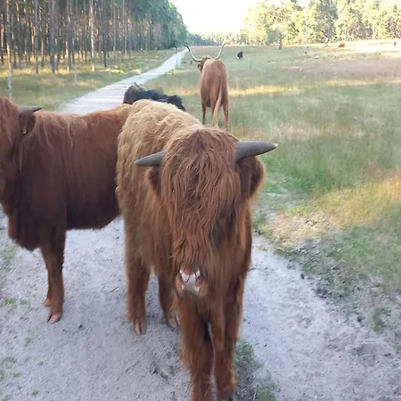 Дом отдыха Cozy W Sauna And Bbq, Cleaning Included Hattemerbroek